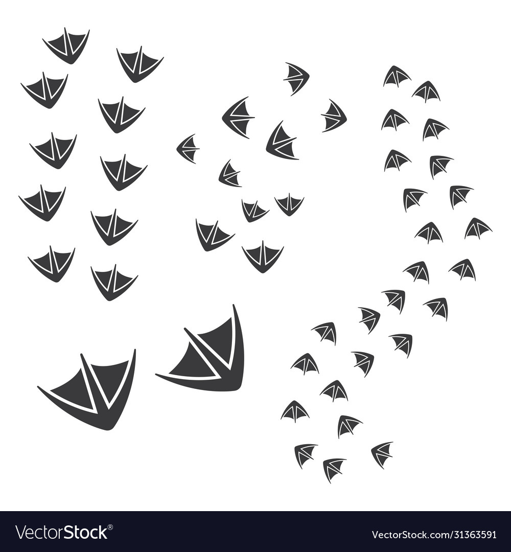Print Duck Foot Design Royalty Free Vector Image throughout Free Printable Duck Feet Template