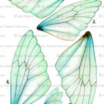 Printable Fairy Wings Set 4 Scrapbooking Clipart, Digital Wing Pertaining To Free Printable Fairy Wing Template
