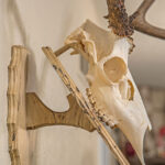Template For Diy Deer Skull Mount Plaque | Gunflintdesigns Throughout Free Printable Deer Plaque Template