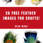 27 Beautiful Feather Clipart!   The Graphics Fairy Within Free Collage Feather Template