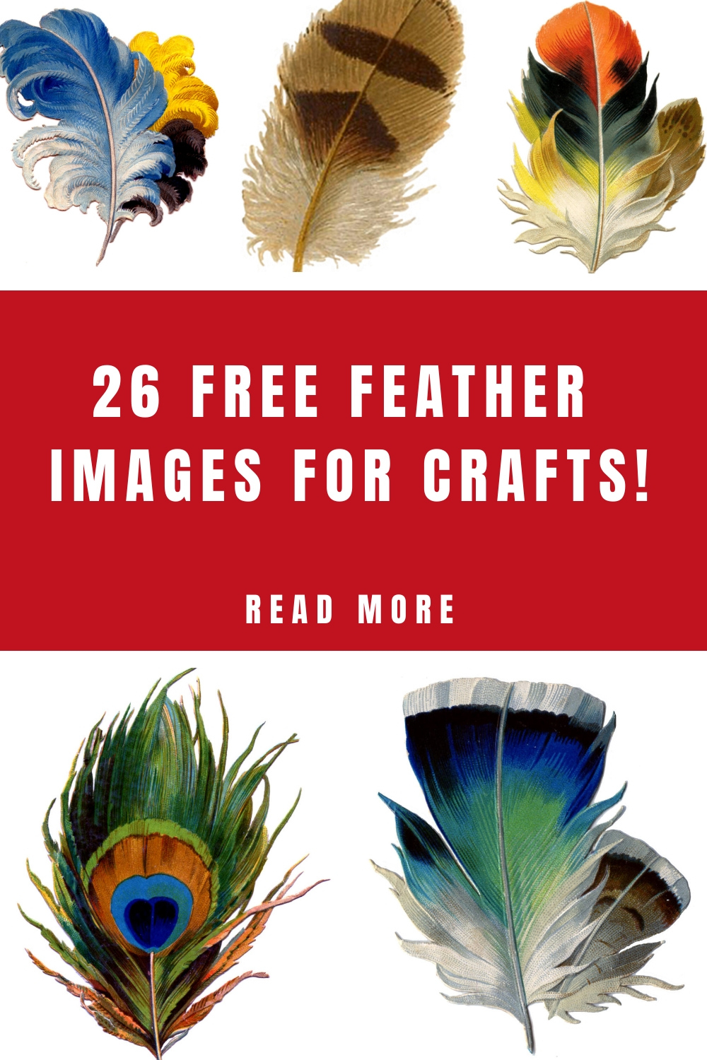 27 Beautiful Feather Clipart! - The Graphics Fairy within Free Collage Feather Template