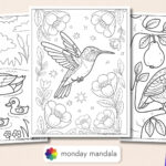 50 Bird Coloring Pages (Free Pdf Printables) For Feather And Birds Coloring Template Free Printable