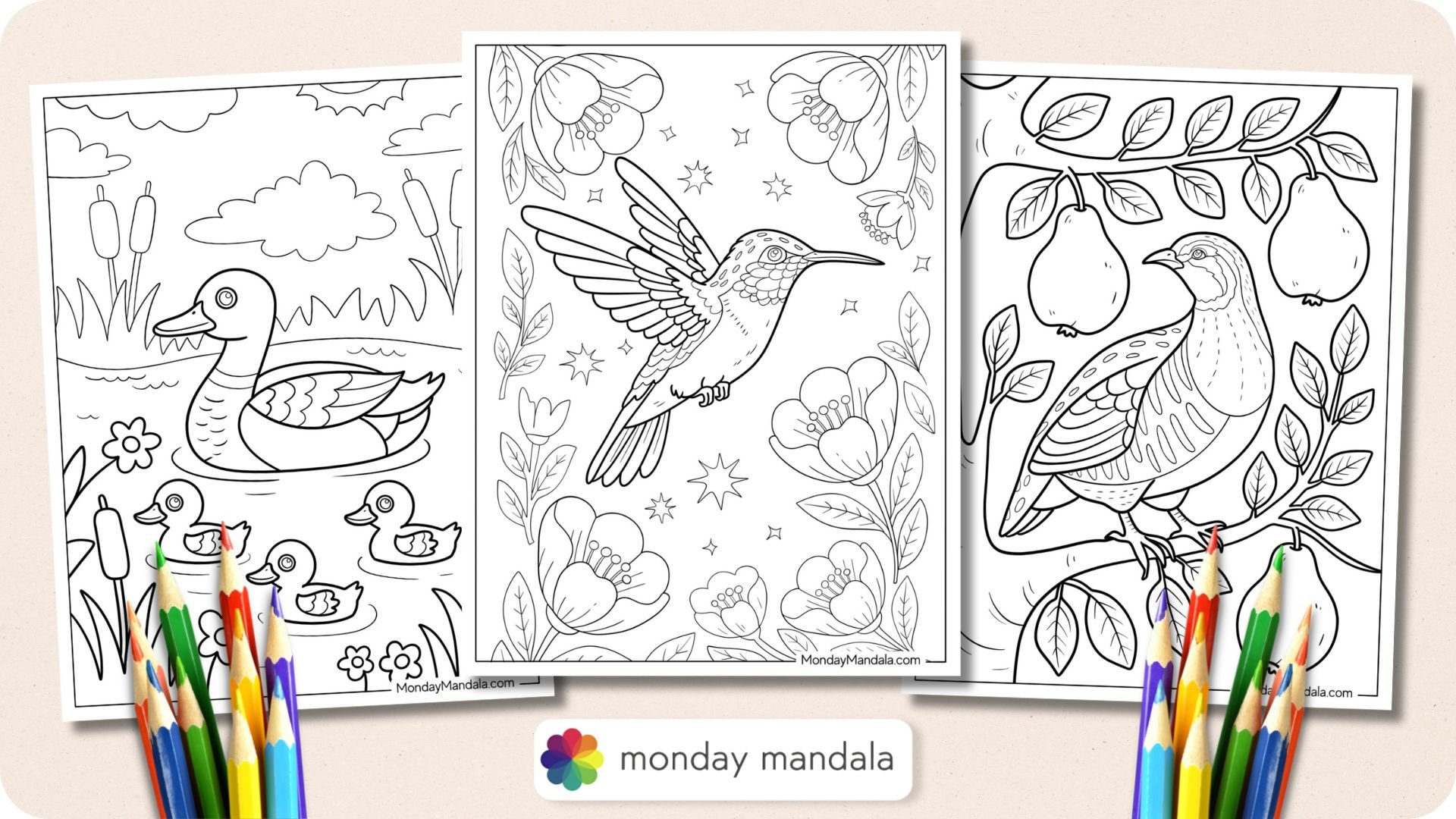 50 Bird Coloring Pages (Free Pdf Printables) for Feather and Birds Coloring Template Free Printable