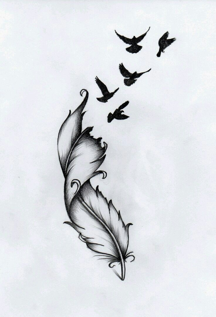 A Dream Broken Up To The Sky ✧ regarding Fading Feather Tattoo Template