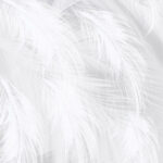 A White Bird'S Feather Page Border Background Word Template And Throughout Bird Feather Word Template