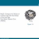 Beamer Presentation Template   Feather Theme | Pdf Intended For Beamer Presentation Template Feather Theme