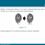 Beamer Presentation Template   Feather Theme | Pdf Throughout Beamer Presentation Template Feather Theme