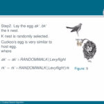 Beamer Presentation Template   Feather Theme | Pdf With Beamer Presentation Template Feather Theme