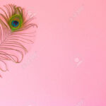 Beautiful Feather From A Peacock'S Tail On An Isolated Pastel With Regard To Feather Background Template
