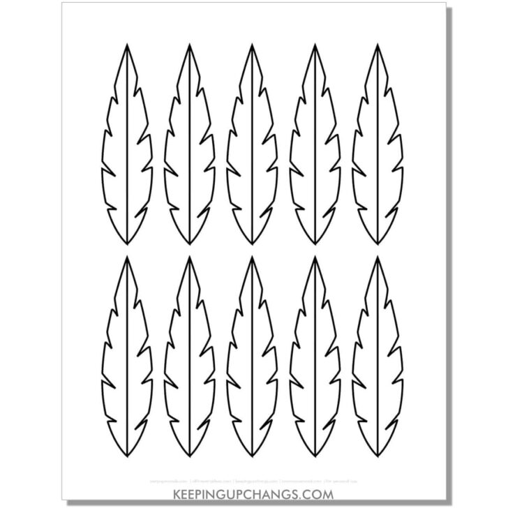 Cut Out Outline Feather Template