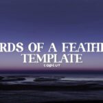 Birds Of A Feather Capcut Templates | Capcut Templates   Youtube Regarding Birds Of A Feather Capcut Template