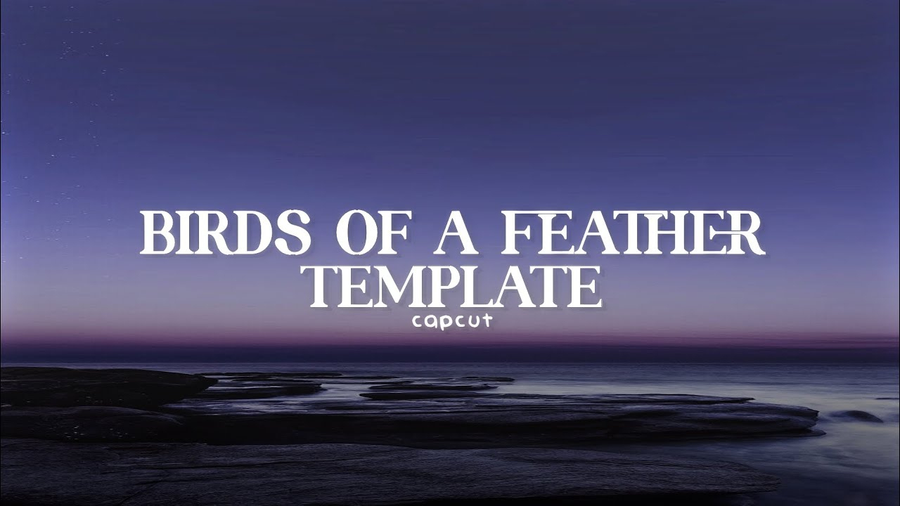 Birds Of A Feather Capcut Templates | Capcut Templates - Youtube regarding Birds Of A Feather Capcut Template