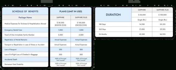 Travel Insurance For Turkey From Pakistan Template Travel Insurance For Turkey From Pakistan Template