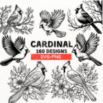 Cardinal Bird Svg Bundle | 160 Cardinal Designs | Png Files For Cricut &  Silhouette | Bird Clipart | Floral Cardinal | Instant Download With Regard To Cardinal Feather Template