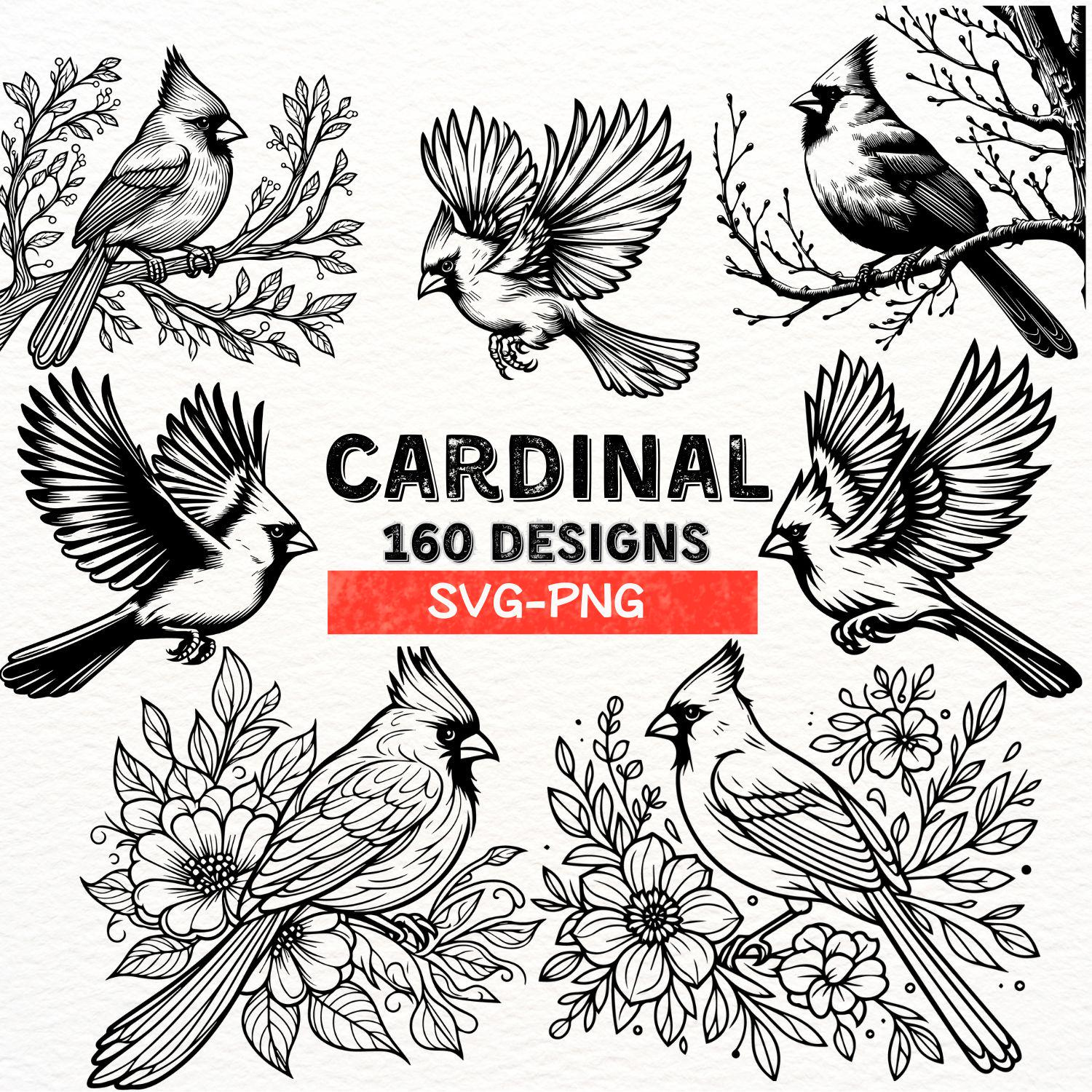 Cardinal Bird Svg Bundle | 160 Cardinal Designs | Png Files For Cricut &amp;amp;  Silhouette | Bird Clipart | Floral Cardinal | Instant Download with regard to Cardinal Feather Template