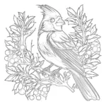 Cardinal Coloring Page | Coloring Pages Mimi Panda Pertaining To Cardinal Feather Template Page Background