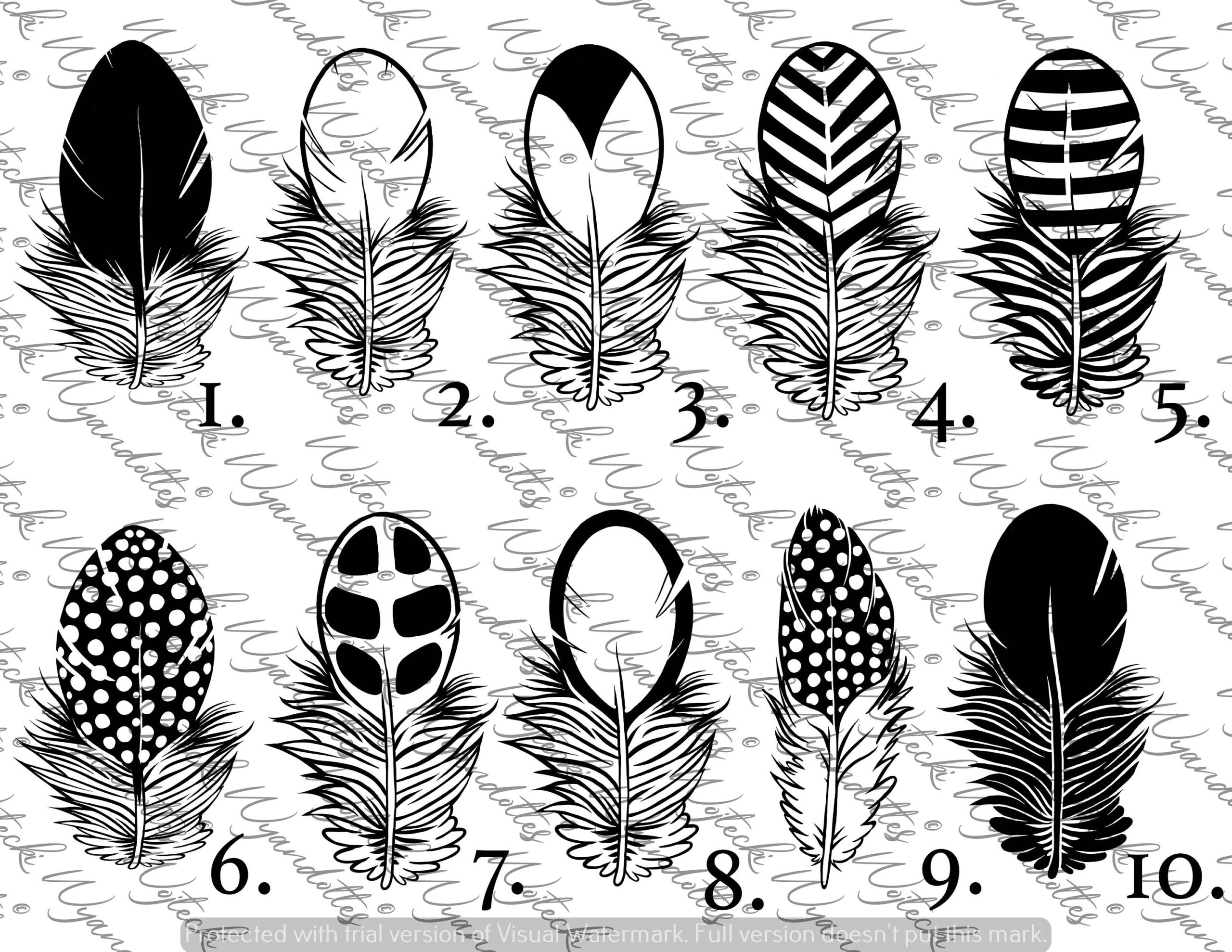 Chicken/ Bird Feather Decal - Laced, Barred, Mottled, Patterned with regard to Chicken Feather Template