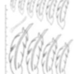 Curved Feather Leather Tooling Size Pattern Pack   Etsy Uk Pertaining To Leather Feather Template
