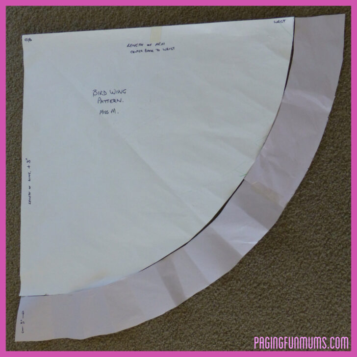 Felt Feather Template Cape