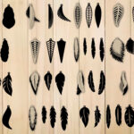Earrings Svg, Feather Earrings , Earrings Template Intended For Feather Template For Earrings