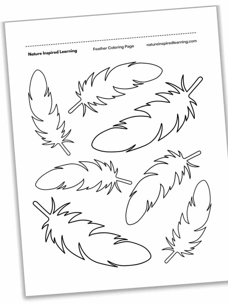 Hawk Feather Template Printable