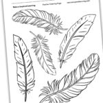 Feather Coloring Pages   Nature Inspired Learning Pertaining To Coloring Free Printable Feather Template