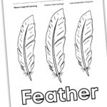 Feather Coloring Pages   Nature Inspired Learning Pertaining To Hawk Feather Template Printable