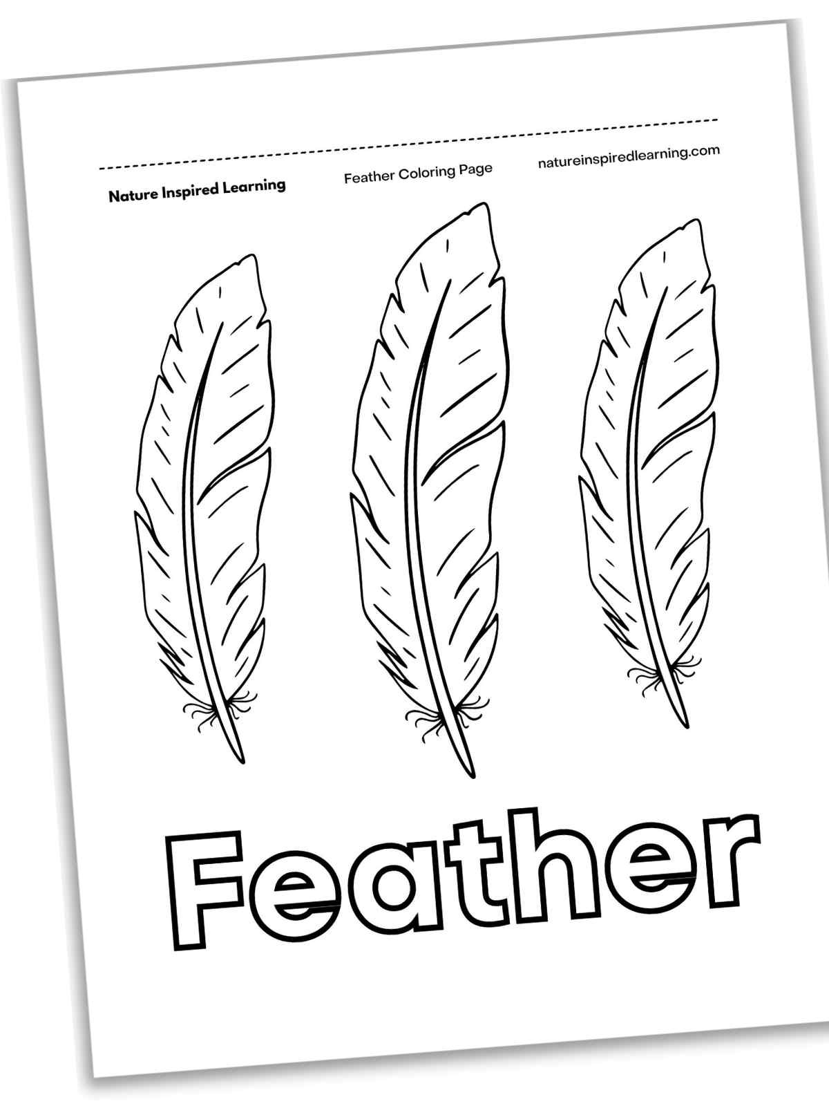 Feather Coloring Pages - Nature Inspired Learning pertaining to Hawk Feather Template Printable