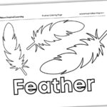 Feather Coloring Pages   Nature Inspired Learning Throughout Small Feather Template