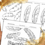 Feather Coloring Pages   Nature Inspired Learning Within Bird Feather Template
