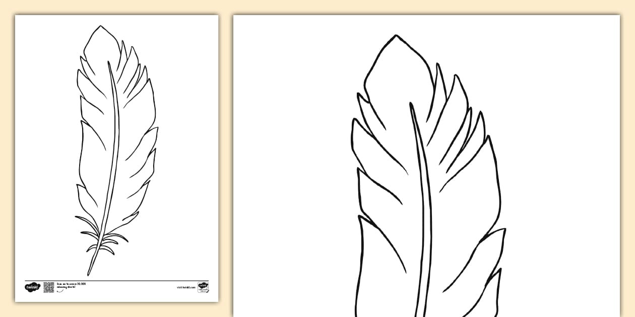 Feather Colouring Page | Colouring Sheets inside Template For Feather
