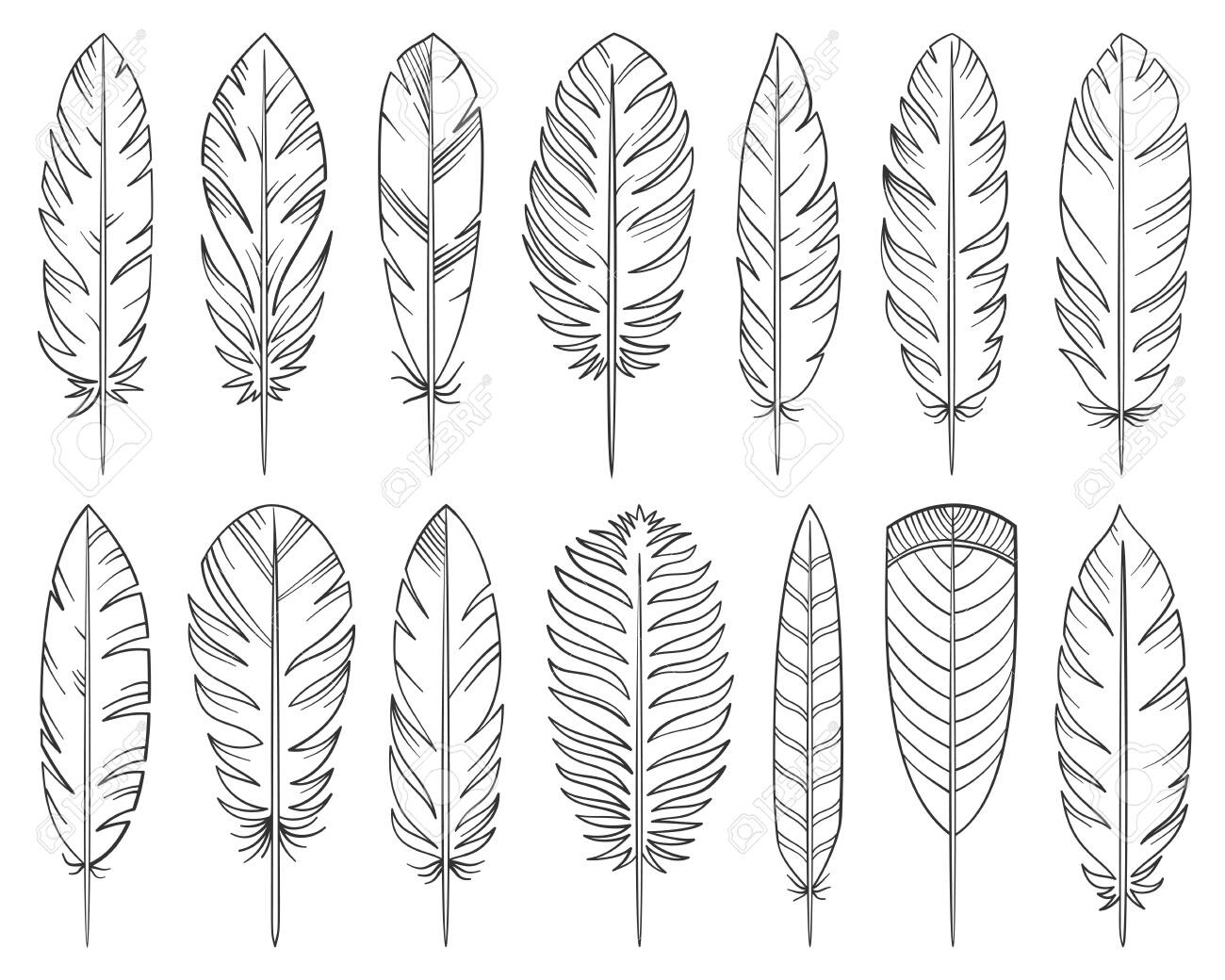 Feather Hand Drawn Line Style Set. Quill Collection Of Simple for Feather Drawing Template