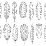 Feather Hand Drawn Line Style Set. Quill Collection Of Simple Inside Doodle Feather Template