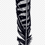Feather Jen Mussari Transparent Feathers Hawk Banner   Hawk Pertaining To Hawk Feather Template Printable