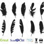 Feather Svg, Feathers Svg, Feather Clipart, Cricut, Feather Within Cricut Feather Template
