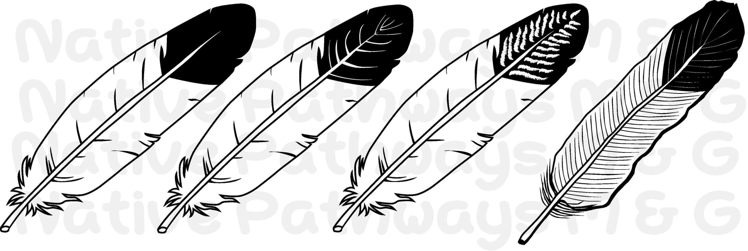 Feather Svg - Native American Eagle Feather (Bundle), Digital throughout Eagle Feather Template Printable
