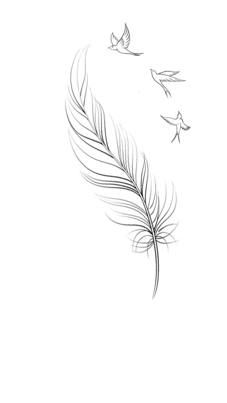 Feather Tattoo Design in Feather Tattoo Template