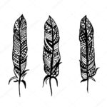 Feathers With Patterns. Vector Illustration For A Card Or Poster Regarding Indian Feather Pattern Template