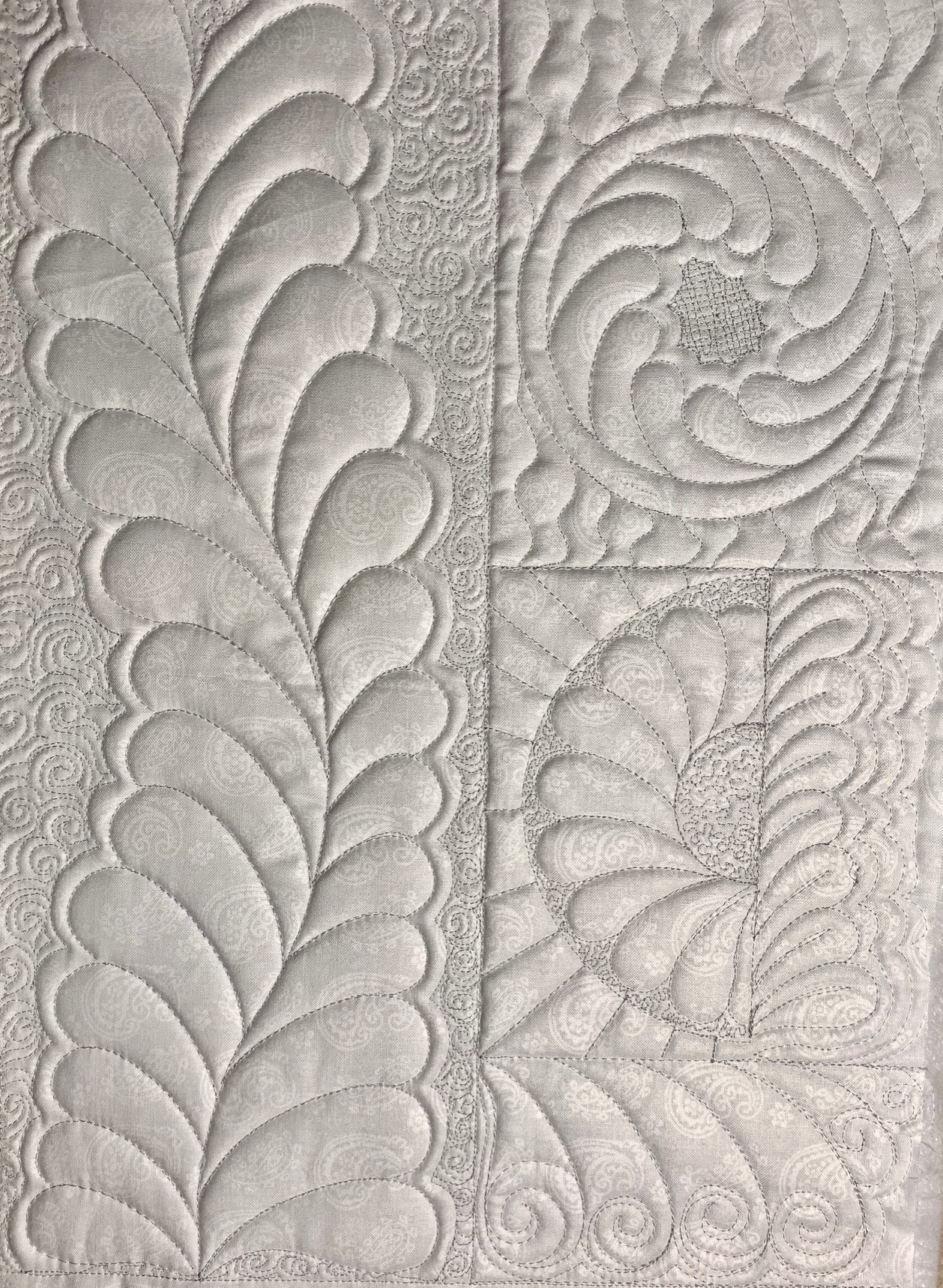 Feathers With The Westalee Design Paisley Templatekate Quinn - 1 regarding Feather Template Quilting