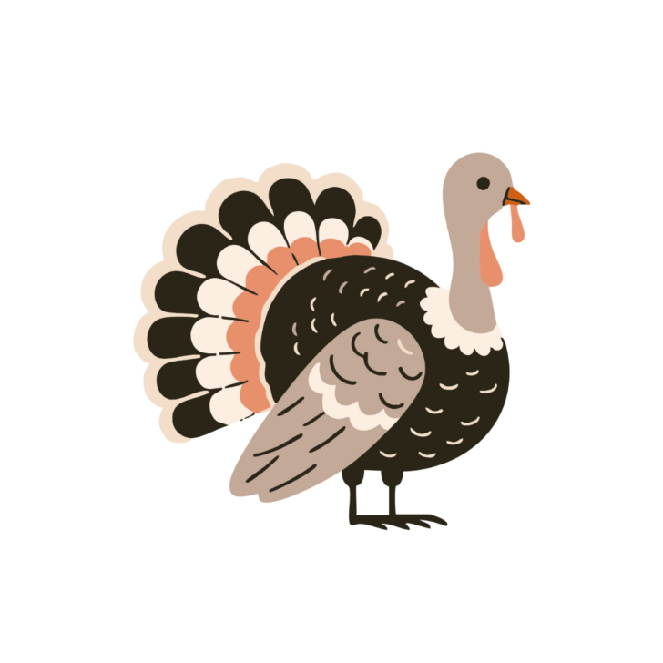 Turkey Clipart Template