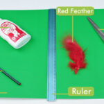 How To Make A Peter Pan Hat: 15 Steps (With Pictures)   Wikihow For Peter Pan Feather Template