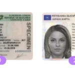 Id Card Renewal: Reasons, Examples, And Use Cases With Turkey ID Card Template