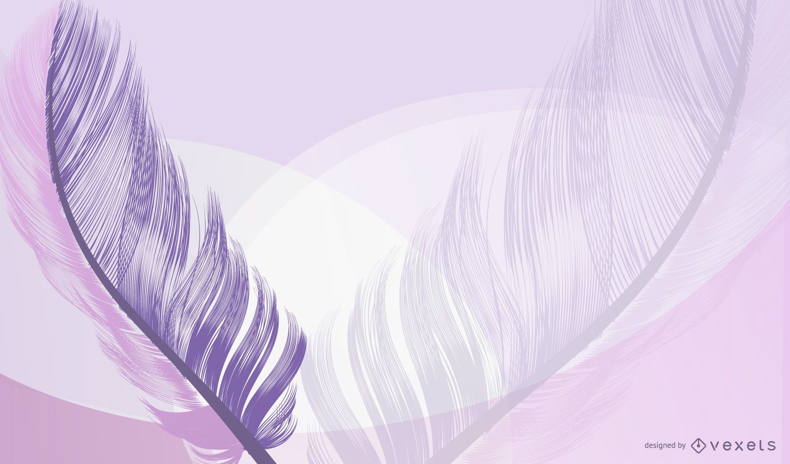 Lavender Feathers Background Vector Download regarding Feather Background Template