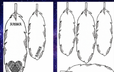 Matariki 2019-2020 – The Te Reo Māori Classroom pertaining to Feather Template For Korowai