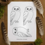 Owl Template (Free Printable)   Once Upon A Printable Inside Owl Feather Template