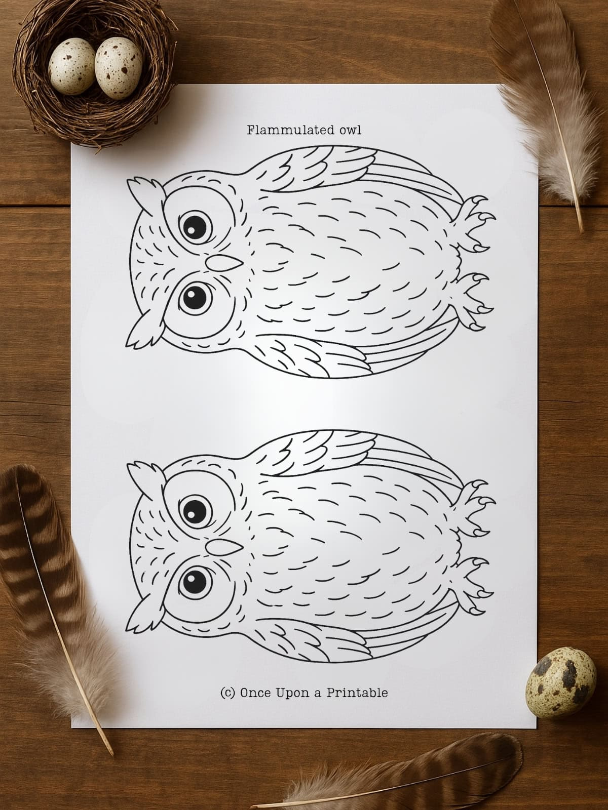 Owl Template (Free Printable) - Once Upon A Printable pertaining to Owl Feather Template Printable