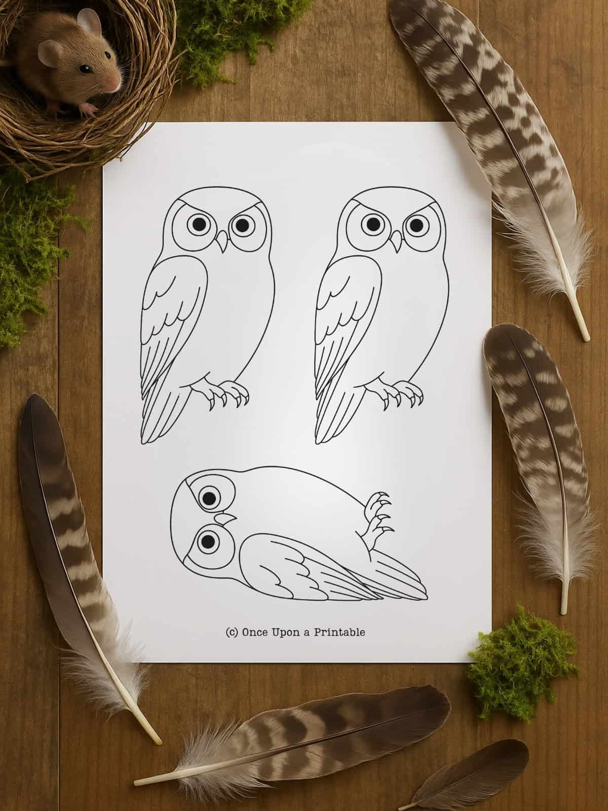 Owl Template (Free Printable) - Once Upon A Printable pertaining to Owl Feather Template Printable