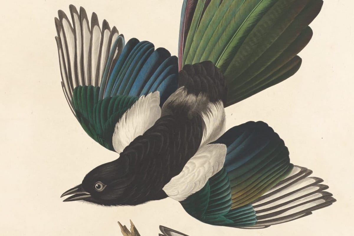 Paper Roundup August 2025: Alpha Centauri Ab, Worm Circuits, Ai Chess regarding Lea Griffiths Paper Feather Template