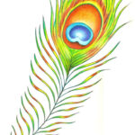 Peacock Feather | Peacock Feather Tattoo, Feather Tattoo Design For Peacock Feather Drawing Template