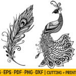 Peacock Feather Svg Cut Files: Laser, Cricut, Sublimation (Digital Pertaining To Printable Peacock Feather Template